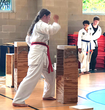 Aleksandra hammer breaking board